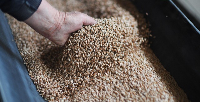 Движ вокруг зерна