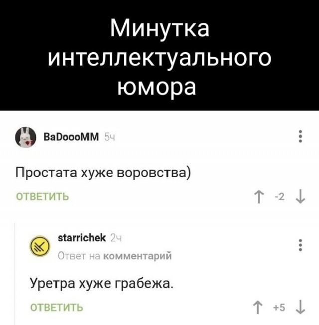 Весёлый полтишок 10.11.22