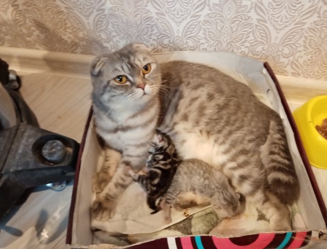 А у нас