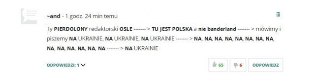 А что думают поляки про своё ЧП?