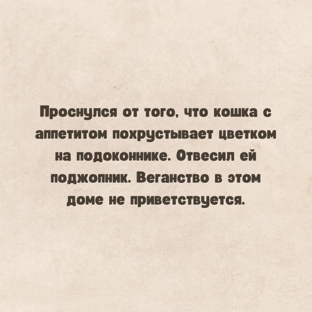 Баянистых и не очень картинок