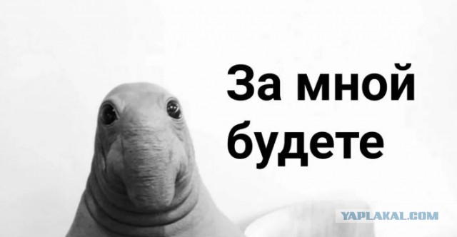 Мы оба входим в 10%