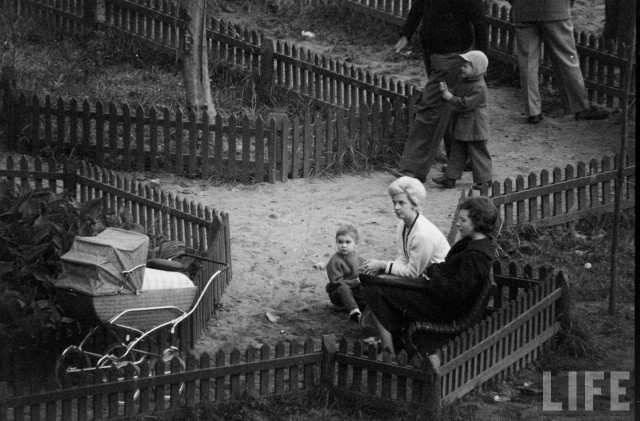 Москва и москвичи, 1962-1963 гг
