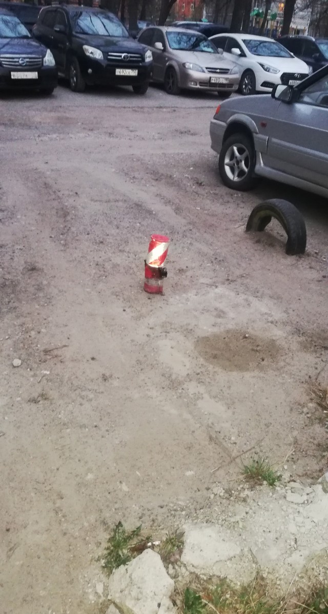 Дворовые приключения
