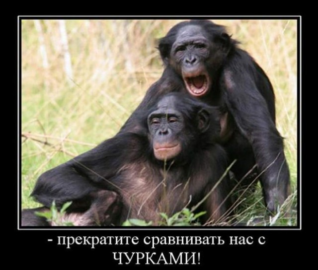 Отдых в Абхазии как особый вид самоистязания