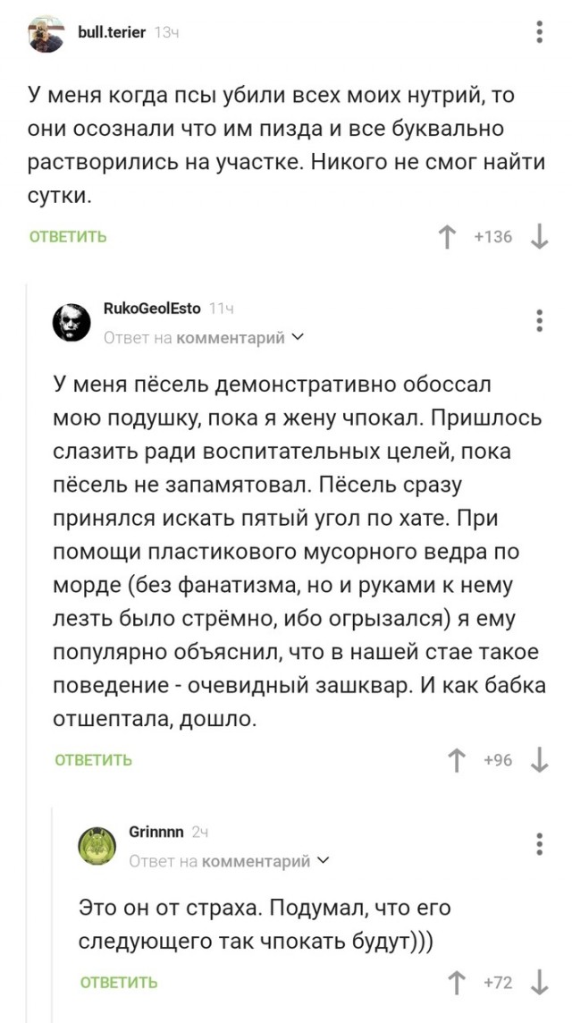 Весёлый полтишок 16.07.23