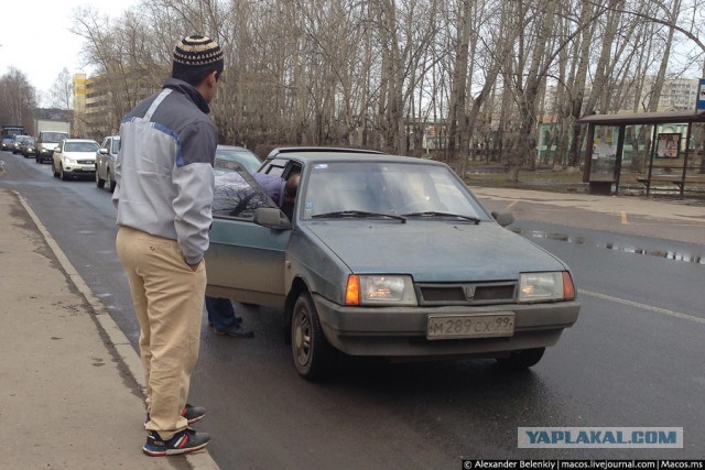 А дорогу покажешь?