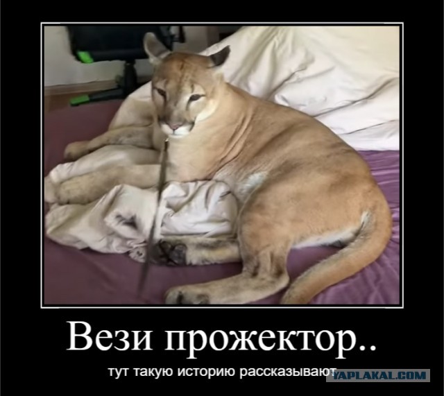 Как я грузовую категорию открывал