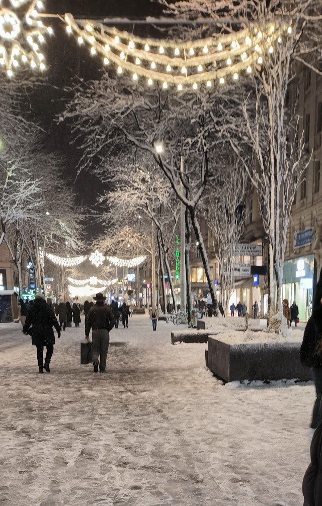 Прогулка по предновогодней Вене