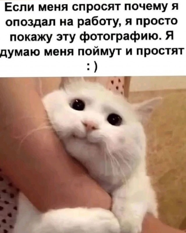 Отряд быстрого деградирования