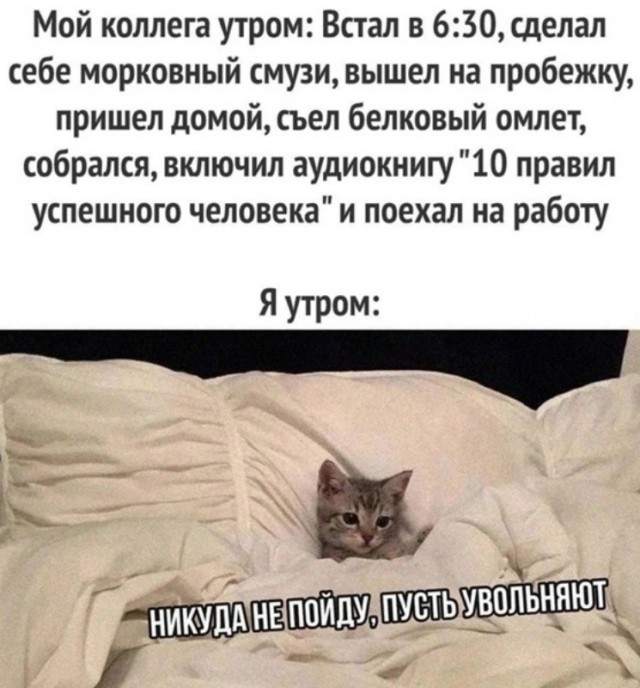 Завалялось тут случайно немного забавных картинок