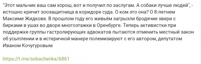 "Мне лично не жалко этого мальчика" - Зоорадикалы устроили скандал в здании оренбургского суда