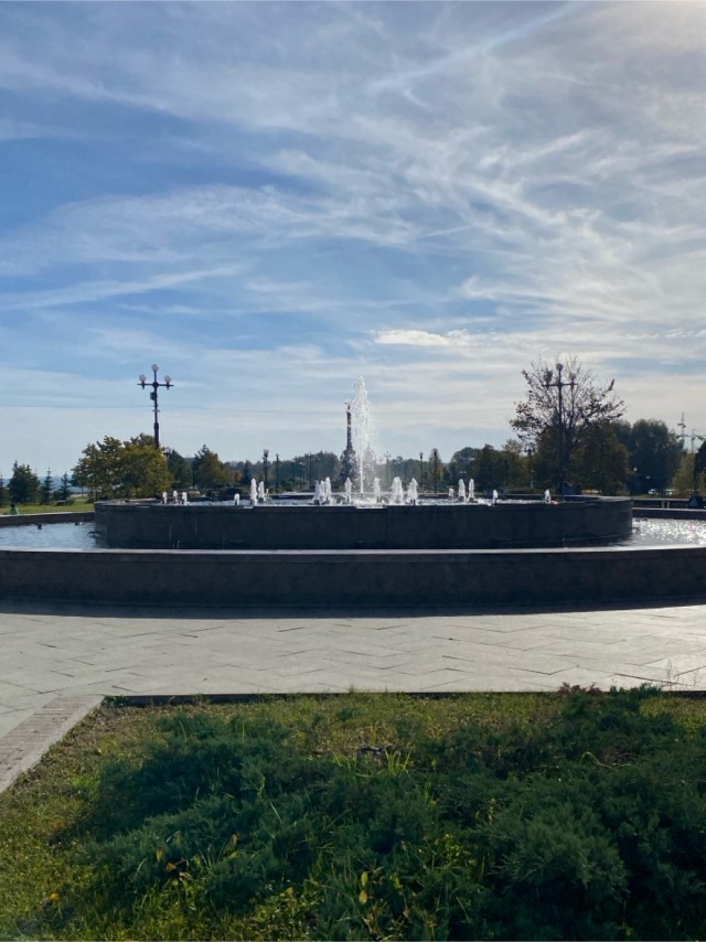 Невероятные приключения американцев в России