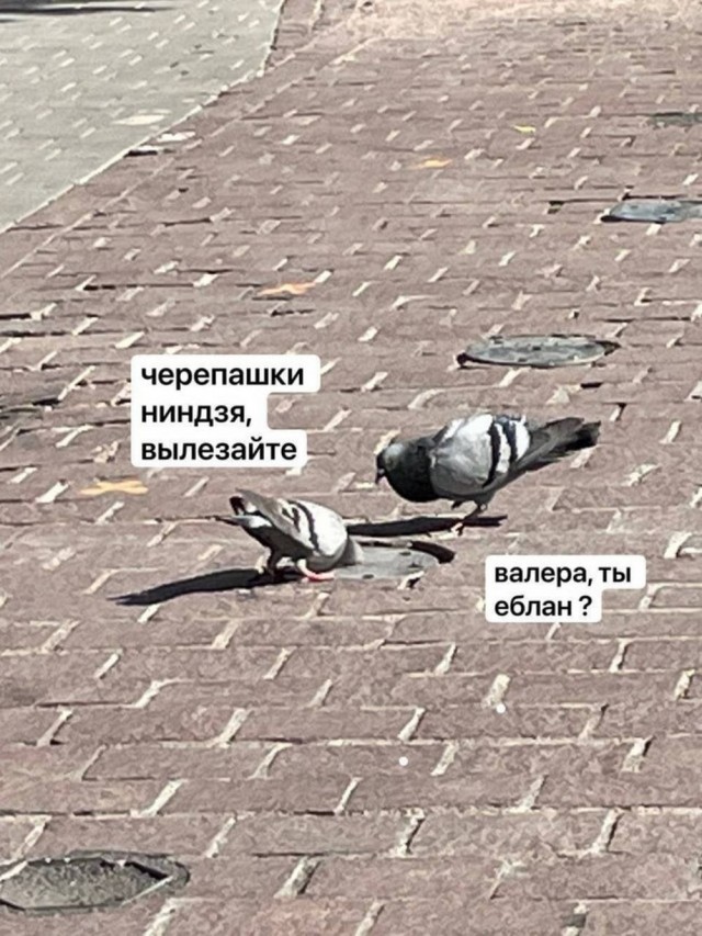 Картинки разные с надписями и без