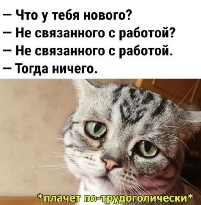 Весёлый полтишок 25.12.24