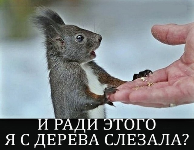 Так себе картинки 11.01.25