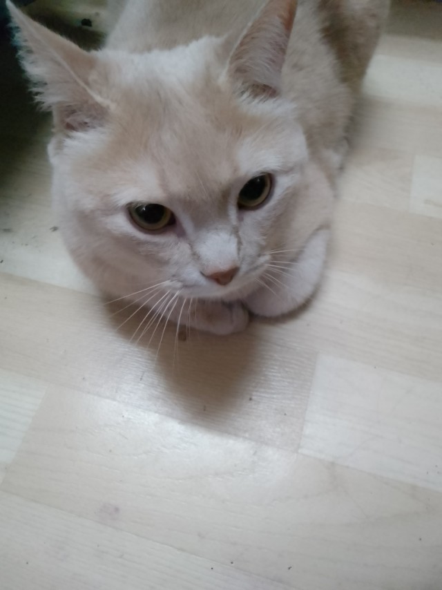 Которазочарованья пост