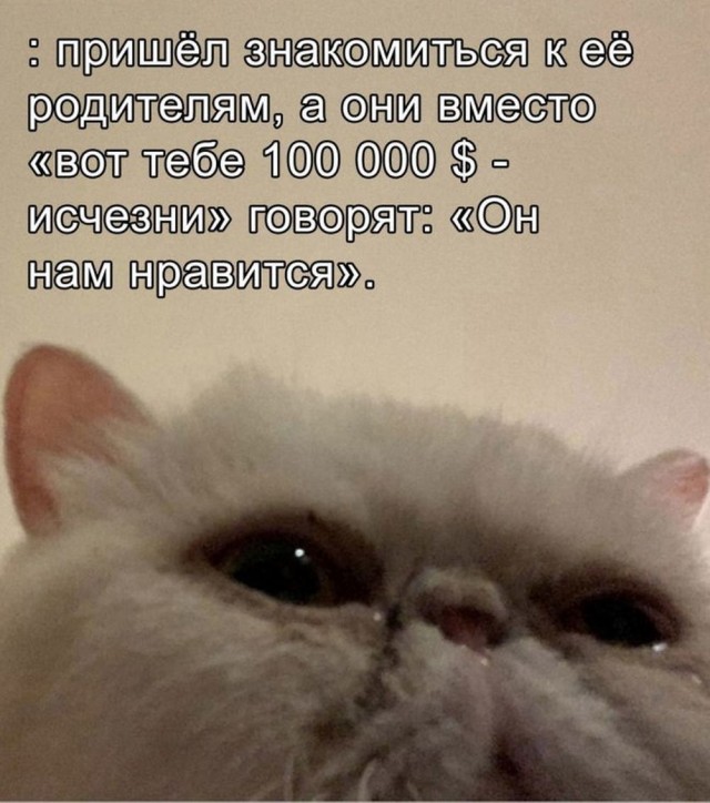 Так себе картинки 18.03.25