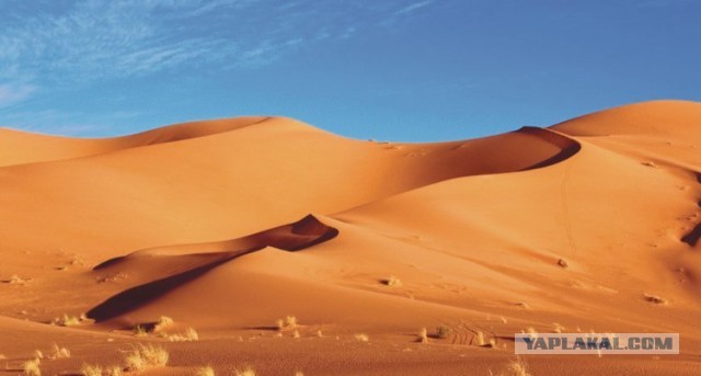 Новое видение наряда для мусульманок