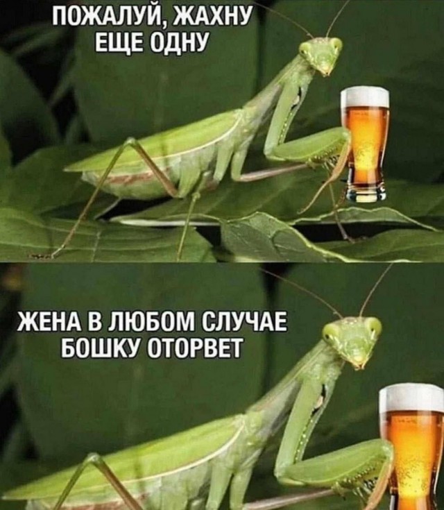 Иллюстрации