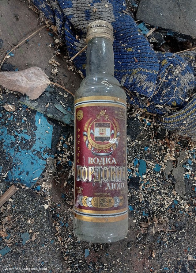 Старинная заброшенная деревня Чекаевка