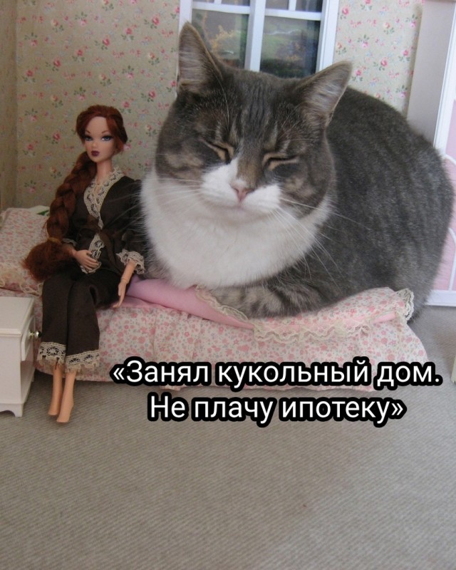 Так себе картинки 31.05.25