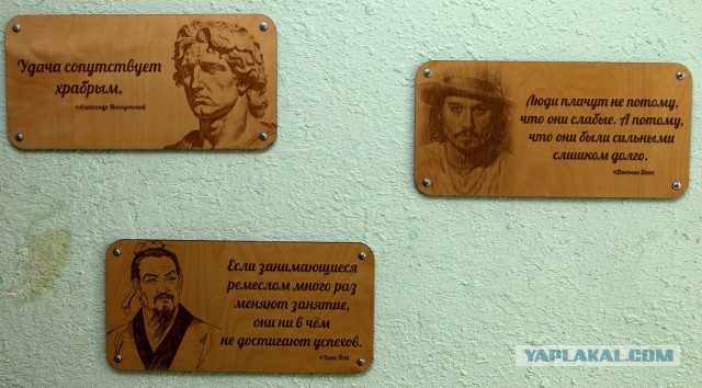 Проект "Голые стены"