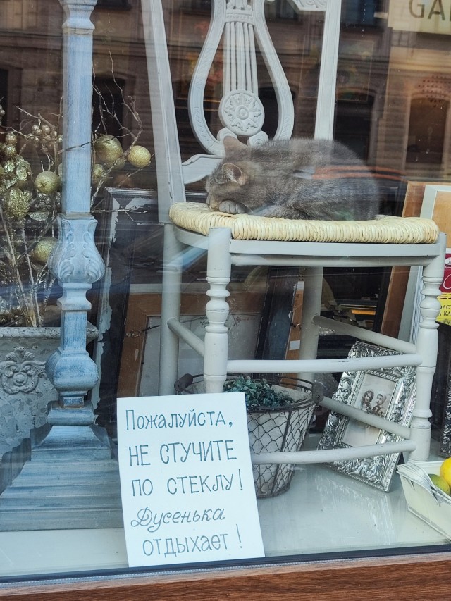 Дусенька отдыхает