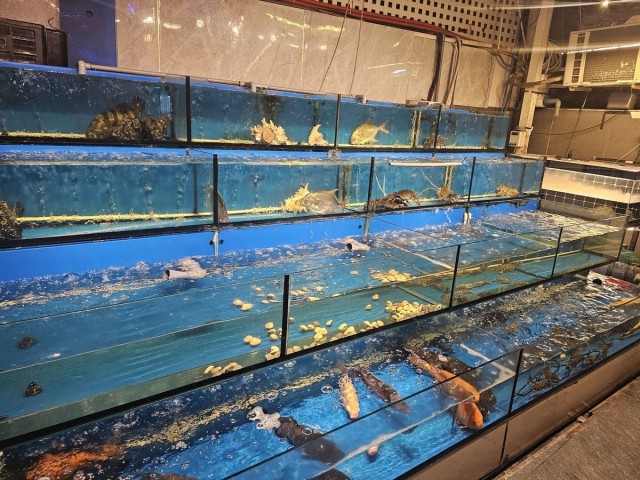 Мое веселое азиатское турне в поисках поперек 18+