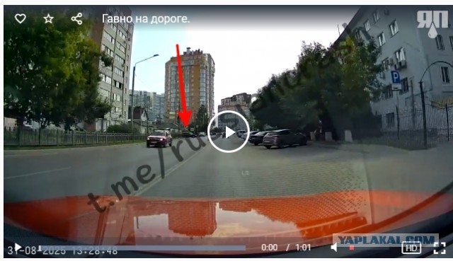 Гавно на дороге.