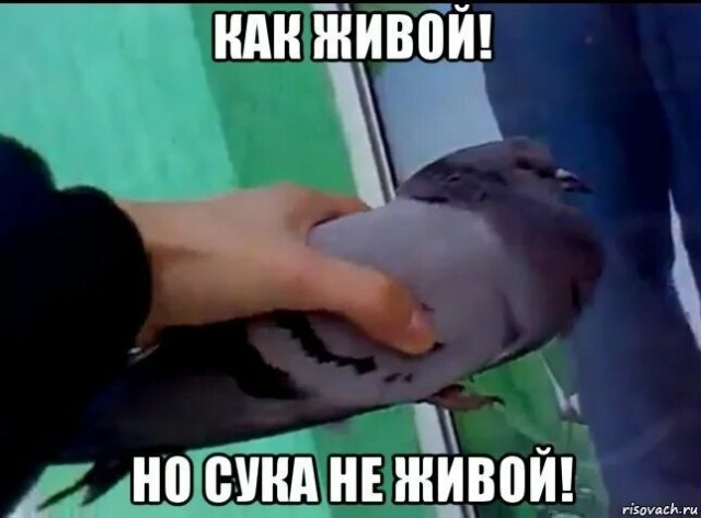 Стирка меха