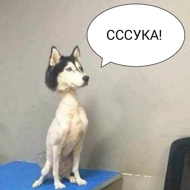 Ну вот, нормальная взрослая одежда