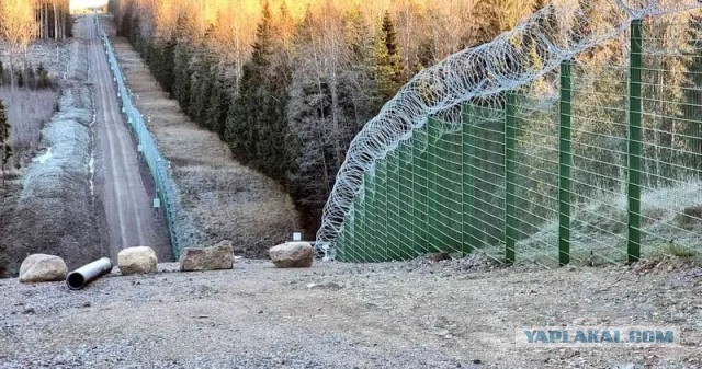 Говно волков, сжирающих оленей в Финляндии, содержит российскую ДНК
