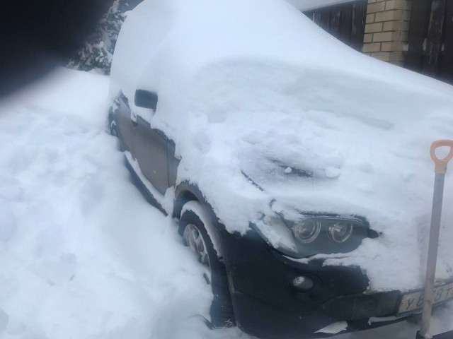 Старые иномарки теперь наше все