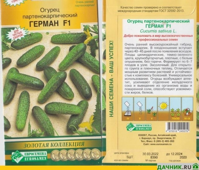 Какие самые "живучие" сорта огурцов?
