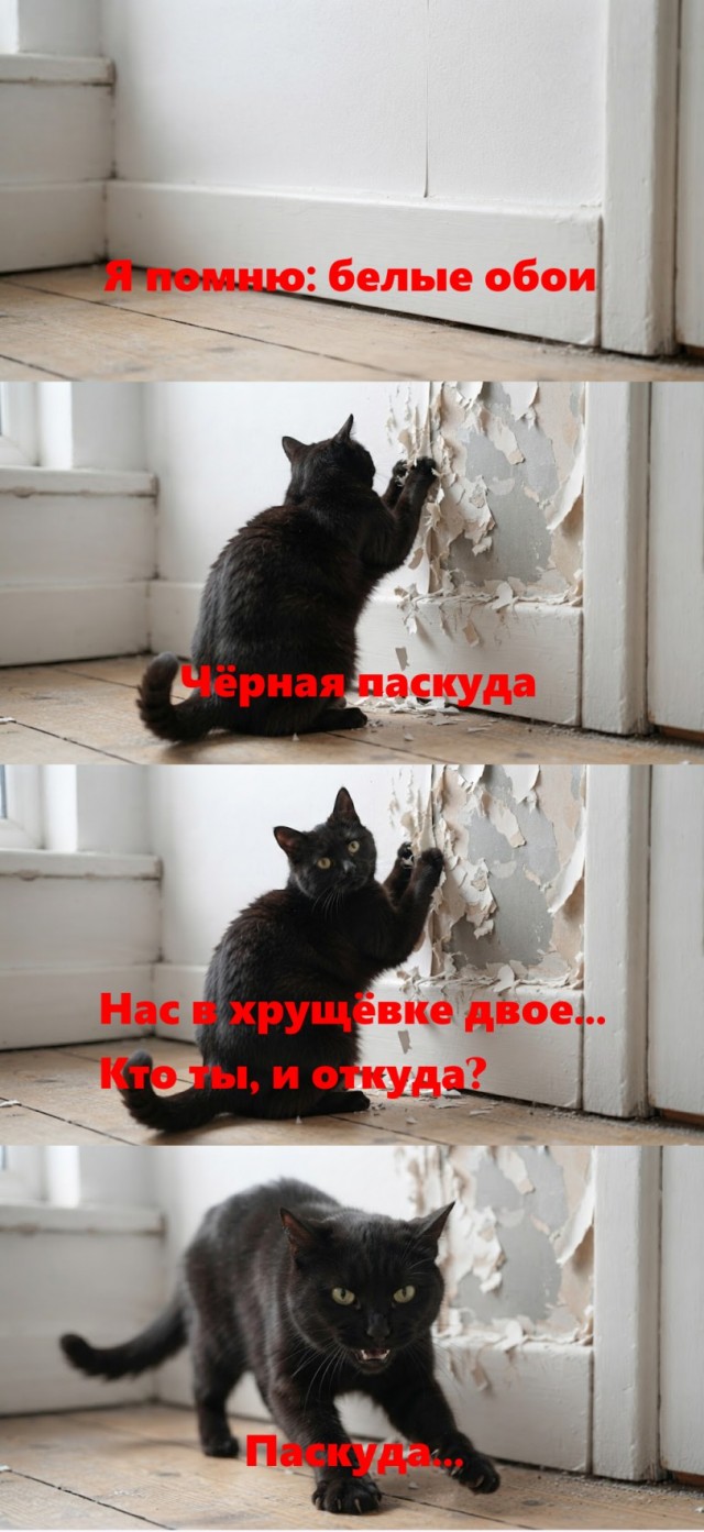 Солянка без копчёностей