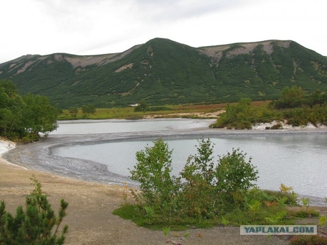 Моя Камчатка