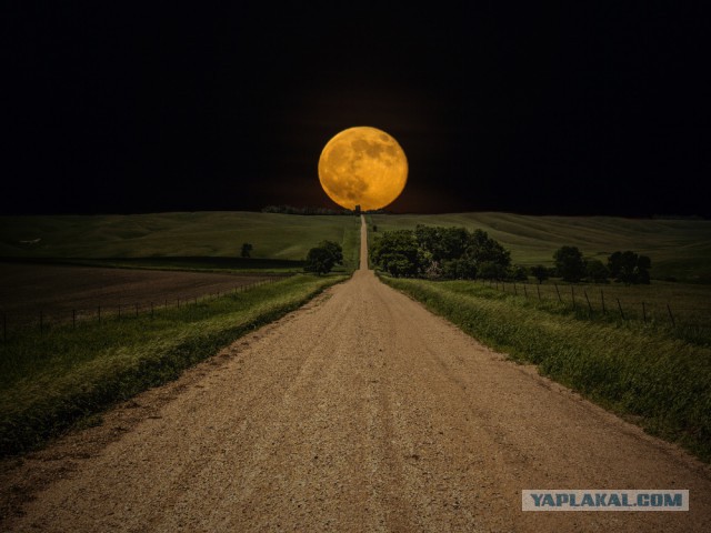 28 самых удачных кадров февраля