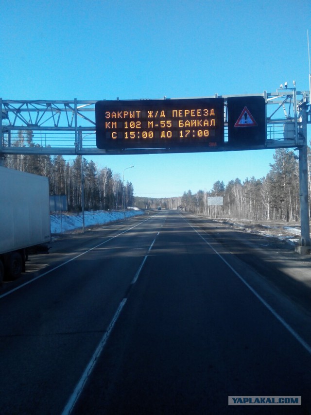 Озеленение Владивостока.