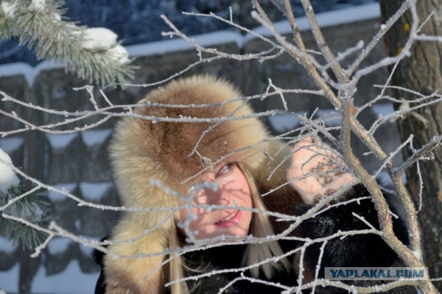 15 любительских фотографий