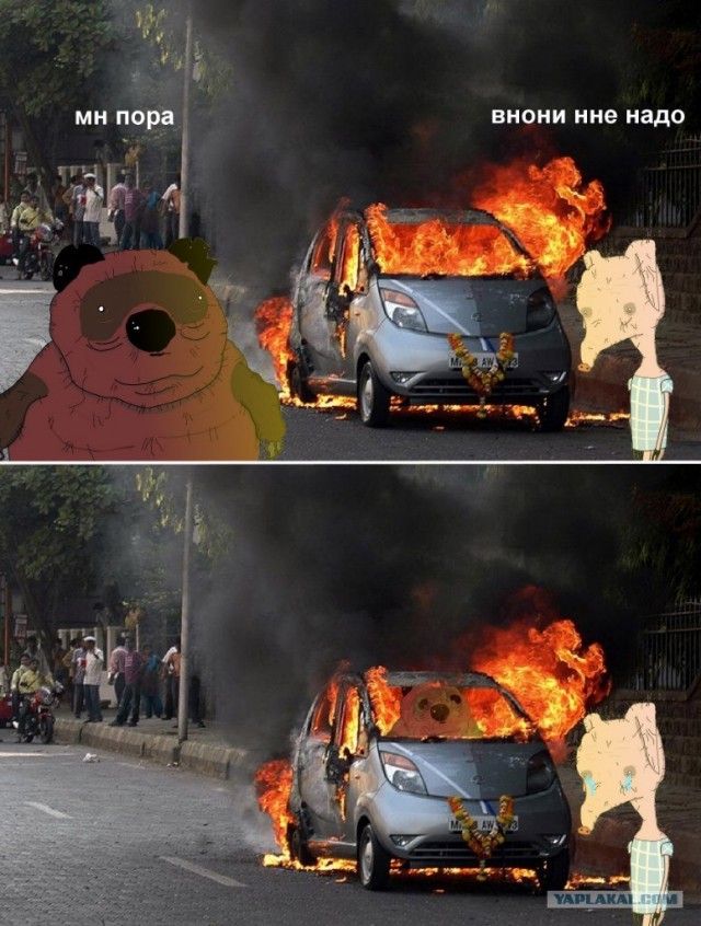 Тигра вырос...