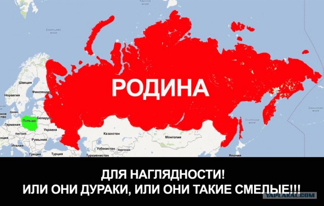 Вот что думают поляки по поводу махача