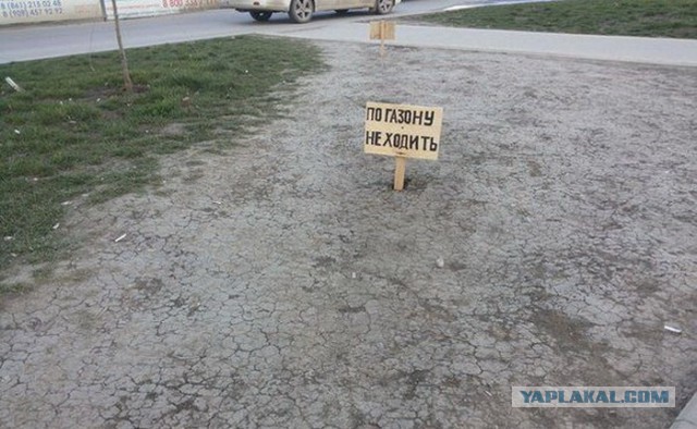 Смешные объявления и надписи