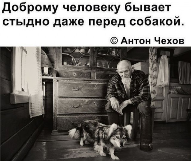 Прикольные картинки и демотиваторы