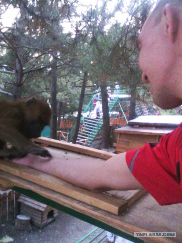 Вечерний Геленджик