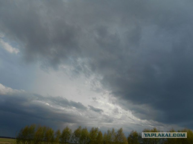 Жизнь домашнего приюта для котеек 112