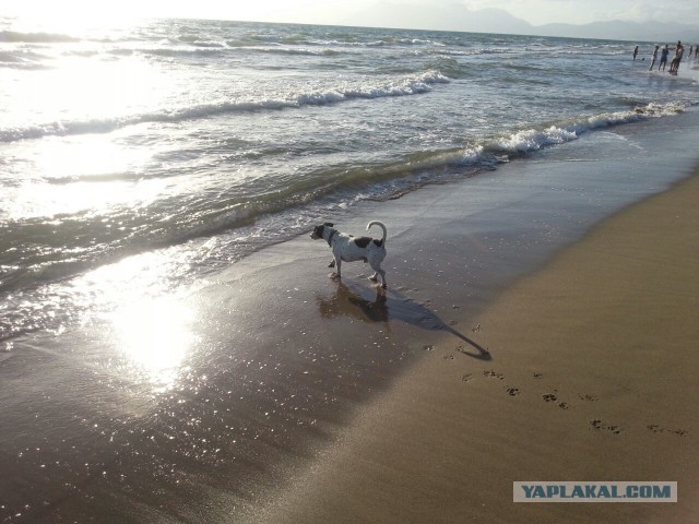 Ожидание vs. реальность: летний отпуск
