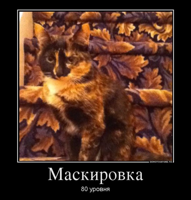 Лицо, которому нельзя верить