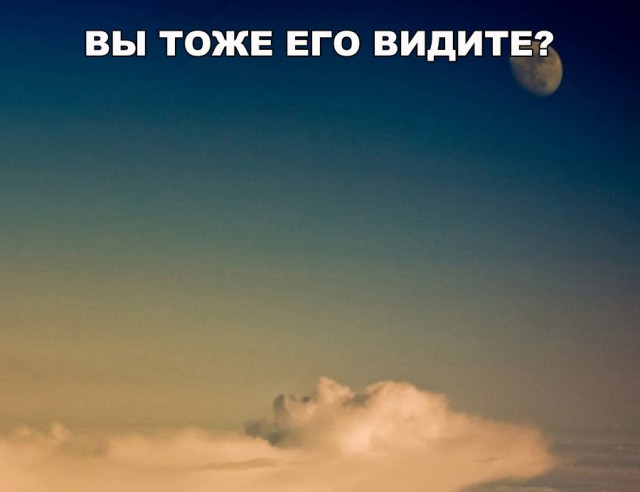 Смешные и не очень картинки из этих ваших интернетов