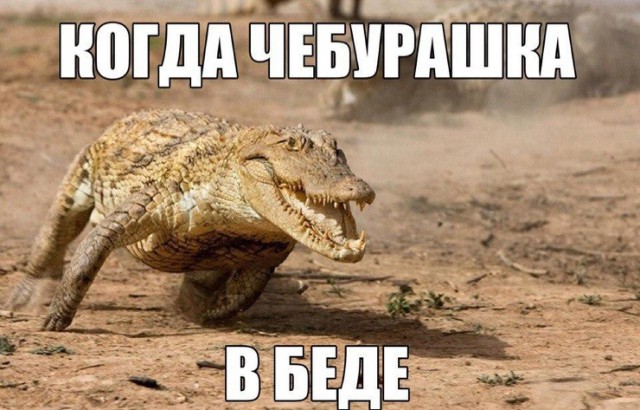 Подборка интересных и веселых картинок